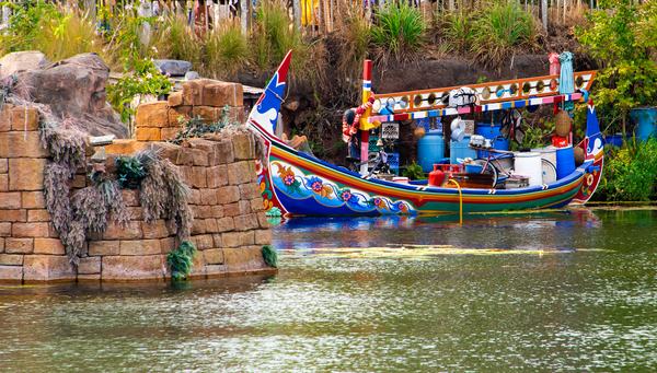 Boats in the Discovery River at Animal Kingdom