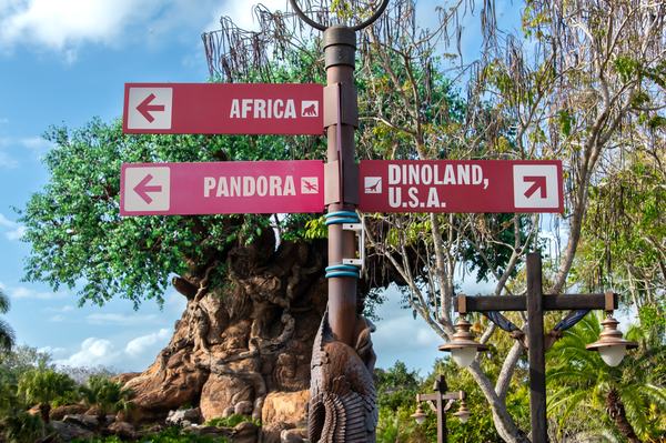 Tree of life and navigational signs at Animal Kingdom