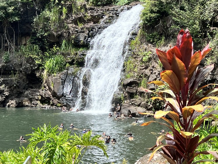 Waimea Falls