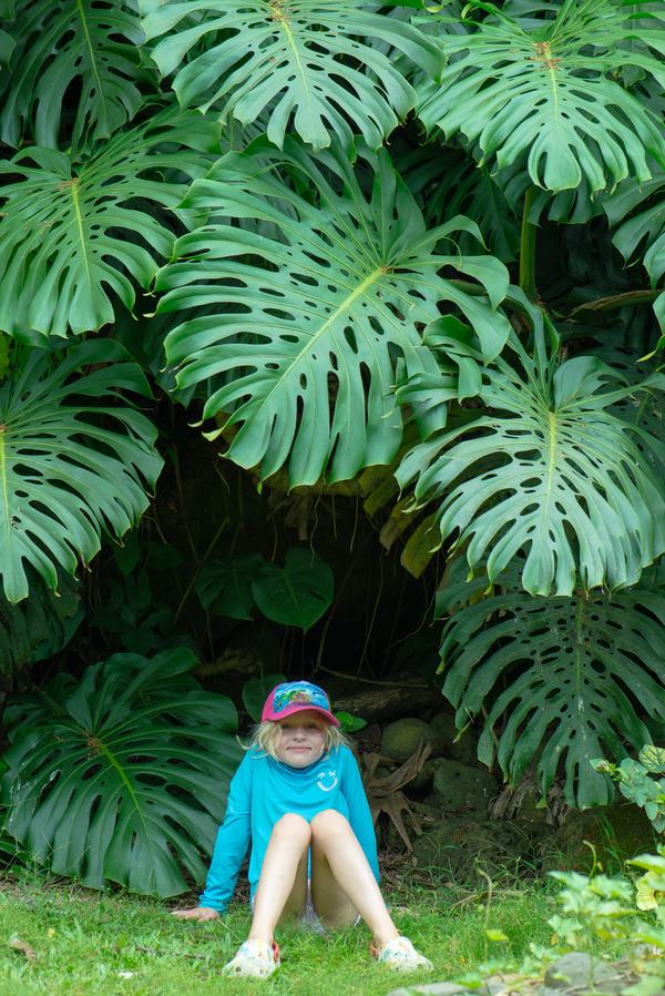 Mia taking a photo opportunity near Waimea Falls
