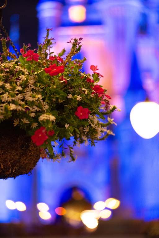 Hanging flowers by Cinderella's Castle at Magic Kingdom