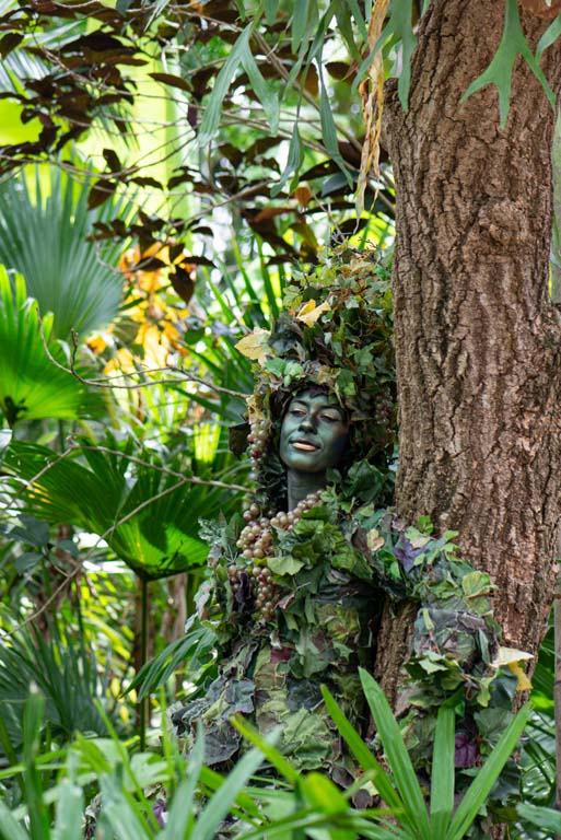 "Divine" at Animal Kingdom