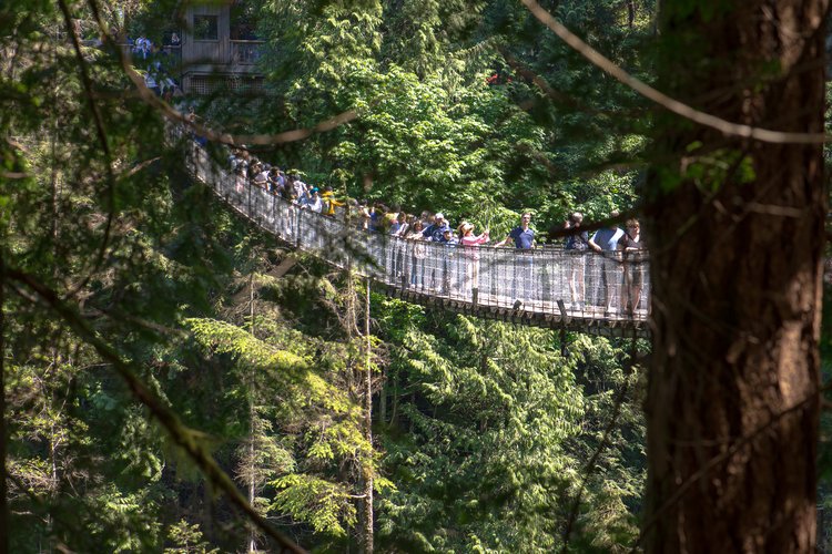 Capilano Suspension Bridge