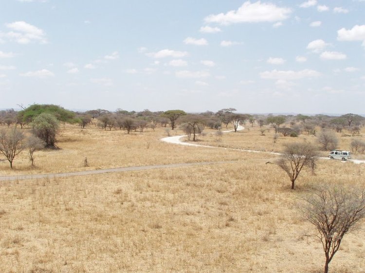 Tarangire National Park