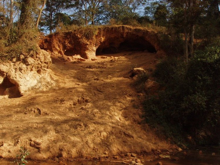 a cave where elephants go to scrape the walls to get nutrients