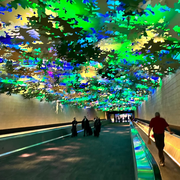 thumbnail for Atlanta International Airport - Terminal walk