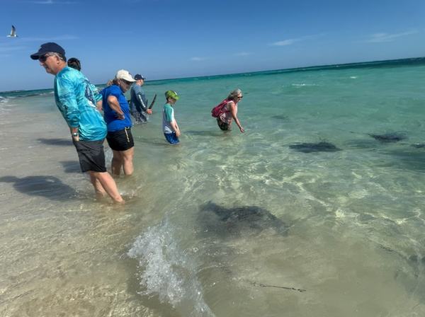 Family feeding stingrays from the beach of Honeymoon Harbor