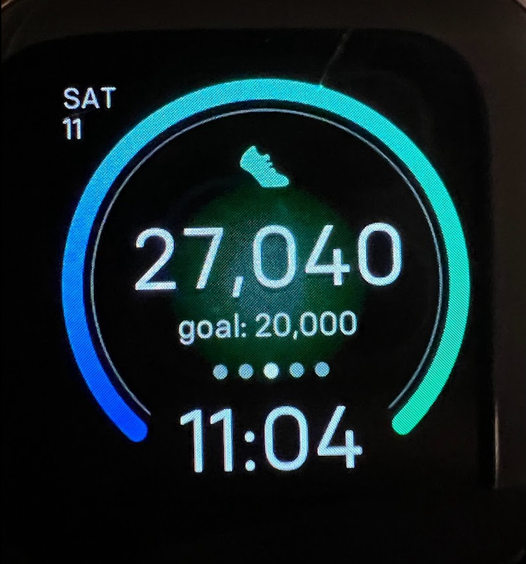 Fitbit steps after a day at Disney World