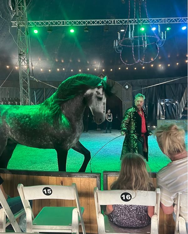 Cirque Ma'Ceo entertainers
