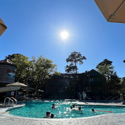 thumbnail for The pool at Disney's Hilton Head resort