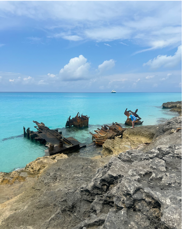 Shipwreck on the shore of Bimini