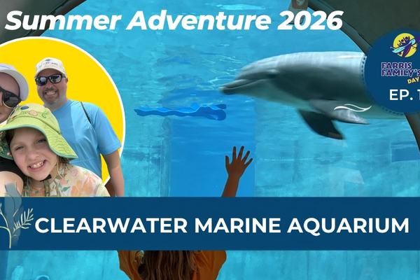 Exploring Clearwater Marine Aquarium | Home of Winter the Dolphin 🐬
